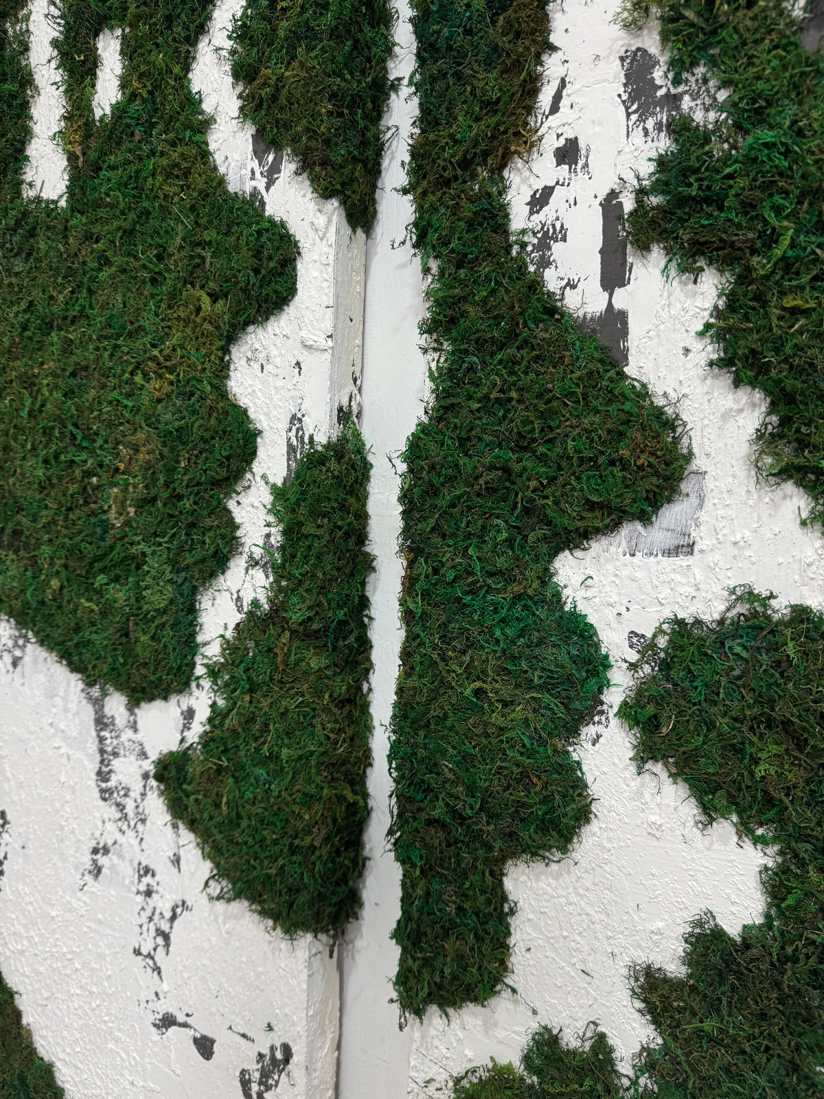 Two divided parts